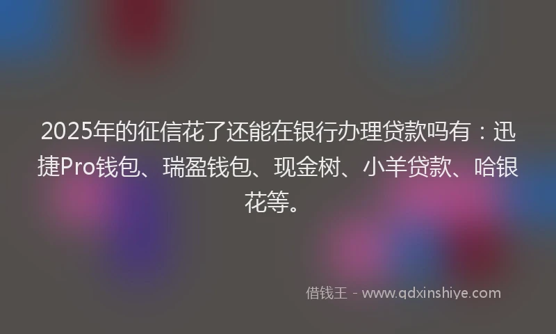 2025年的征信花了还能在银行办理贷款吗有：迅捷Pro钱包、瑞盈钱包、现金树、小羊贷款、哈银花等。