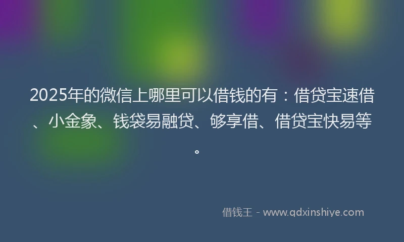 2025年的微信上哪里可以借钱的有：借贷宝速借、小金象、钱袋易融贷、够享借、借贷宝快易等。