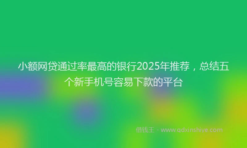 小额网贷通过率最高的银行2025年推荐，总结五个新手机号容易下款的平台