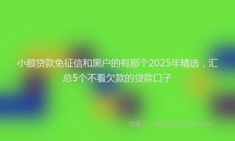 小额贷款免征信和黑户的有那个2025年精选，汇总5个不看欠款的贷款口子