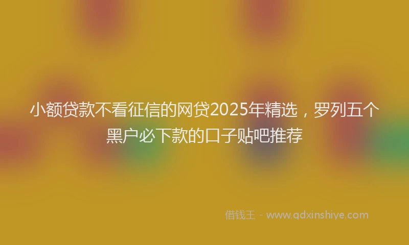 小额贷款不看征信的网贷2025年精选，罗列五个黑户必下款的口子贴吧推荐