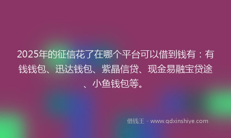 2025年的征信花了在哪个平台可以借到钱有：有钱钱包、迅达钱包、紫晶信贷、现金易融宝贷途、小鱼钱包等。