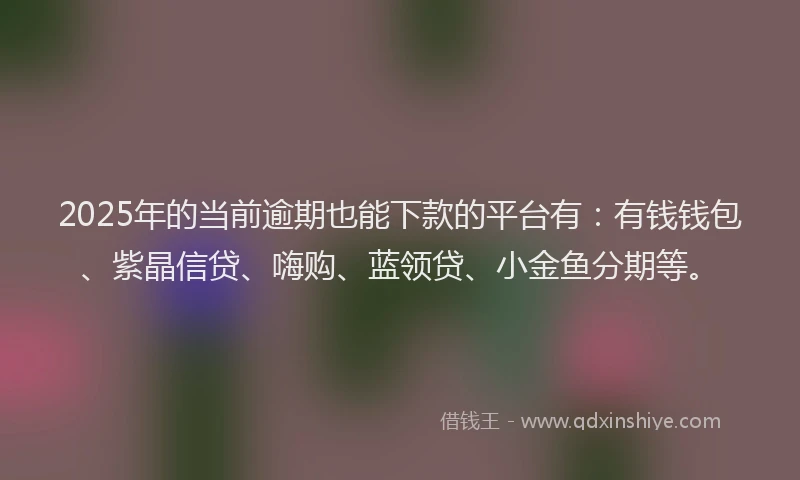 2025年的当前逾期也能下款的平台有：有钱钱包、紫晶信贷、嗨购、蓝领贷、小金鱼分期等。