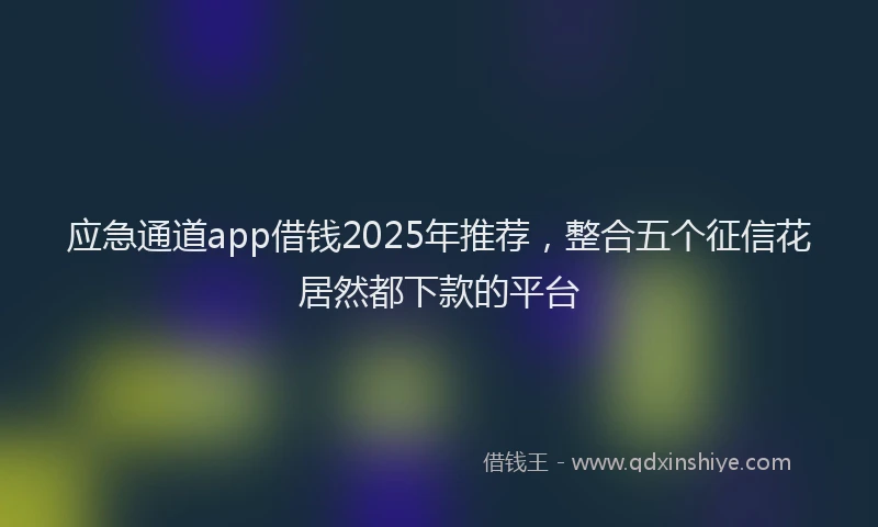 应急通道app借钱2025年推荐，整合五个征信花居然都下款的平台