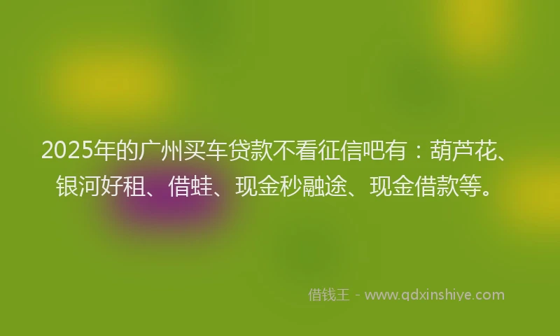 2025年的广州买车贷款不看征信吧有：葫芦花、银河好租、借蛙、现金秒融途、现金借款等。