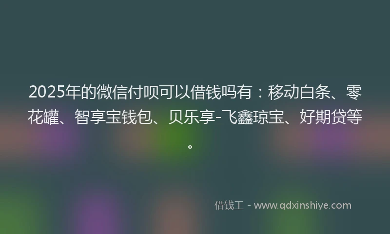 2025年的微信付呗可以借钱吗有：移动白条、零花罐、智享宝钱包、贝乐享-飞鑫琼宝、好期贷等。