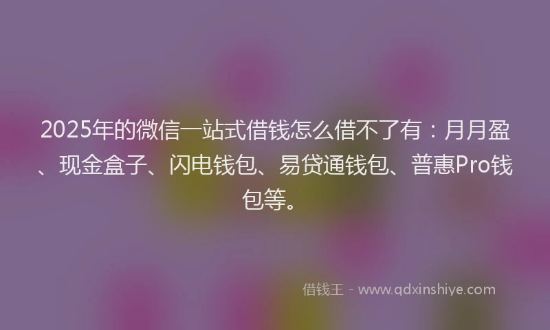 2025年的微信一站式借钱怎么借不了有：月月盈、现金盒子、闪电钱包、易贷通钱包、普惠Pro钱包等。
