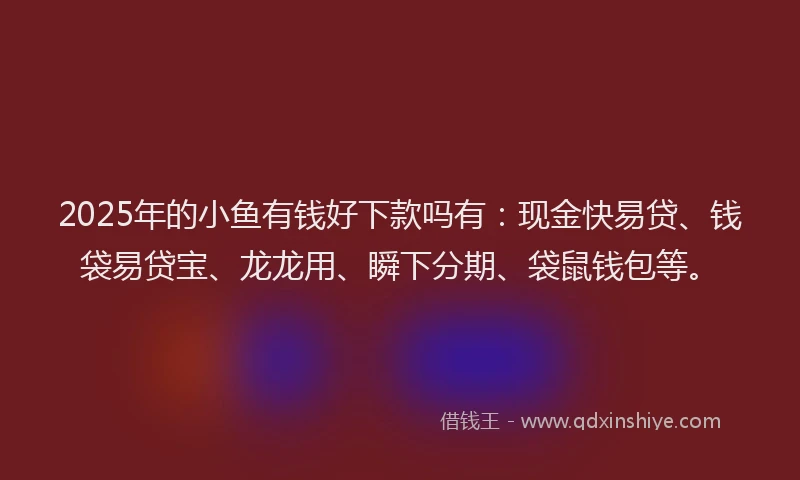 2025年的小鱼有钱好下款吗有：现金快易贷、钱袋易贷宝、龙龙用、瞬下分期、袋鼠钱包等。