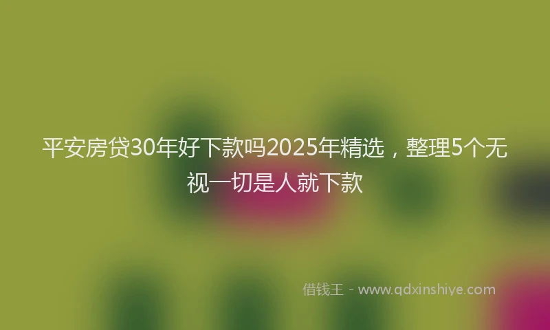 平安房贷30年好下款吗2025年精选，整理5个无视一切是人就下款