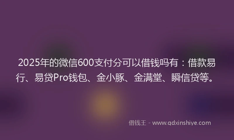 2025年的微信600支付分可以借钱吗有：借款易行、易贷Pro钱包、金小豚、金满堂、瞬信贷等。