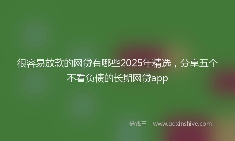 很容易放款的网贷有哪些2025年精选，分享五个不看负债的长期网贷app
