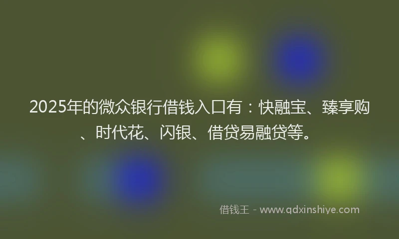 2025年的微众银行借钱入口有：快融宝、臻享购、时代花、闪银、借贷易融贷等。