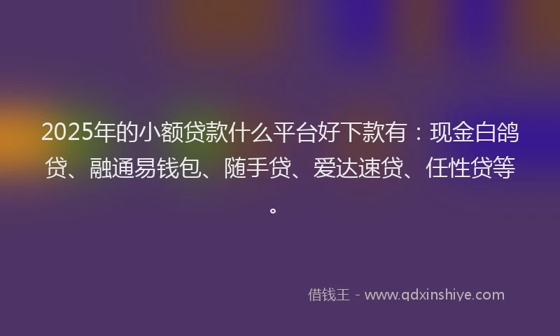 2025年的小额贷款什么平台好下款有：现金白鸽贷、融通易钱包、随手贷、爱达速贷、任性贷等。