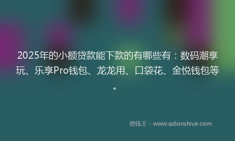 2025年的小额贷款能下款的有哪些有：数码潮享玩、乐享Pro钱包、龙龙用、口袋花、金悦钱包等。