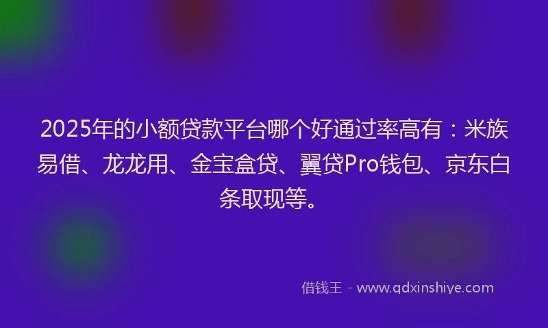 2025年的小额贷款平台哪个好通过率高有：米族易借、龙龙用、金宝盒贷、翼贷Pro钱包、京东白条取现等。