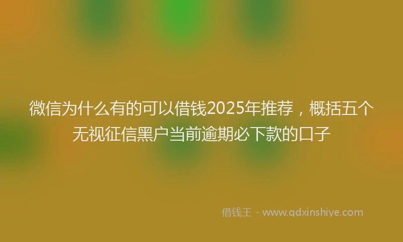 微信为什么有的可以借钱2025年推荐，概括五个无视征信黑户当前逾期必下款的口子