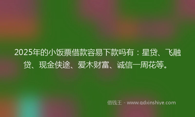 2025年的小饭票借款容易下款吗有：星贷、飞融贷、现金侠途、爱木财富、诚信一周花等。