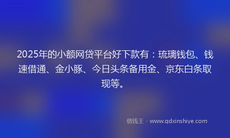 2025年的小额网贷平台好下款有：琉璃钱包、钱速借通、金小豚、今日头条备用金、京东白条取现等。
