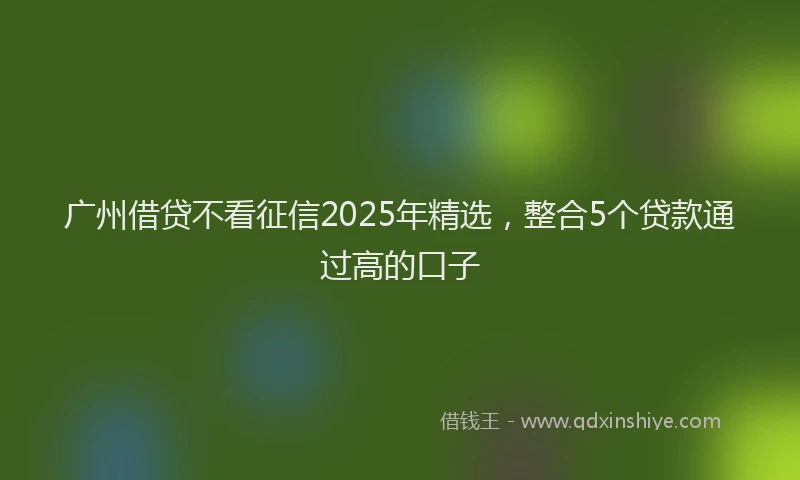 广州借贷不看征信2025年精选，整合5个贷款通过高的口子