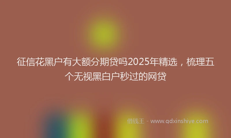 征信花黑户有大额分期贷吗2025年精选，梳理五个无视黑白户秒过的网贷