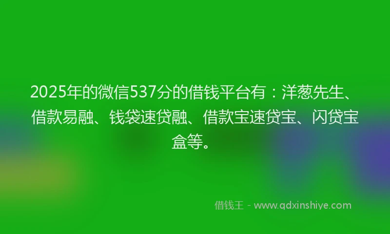 2025年的微信537分的借钱平台有：洋葱先生、借款易融、钱袋速贷融、借款宝速贷宝、闪贷宝盒等。