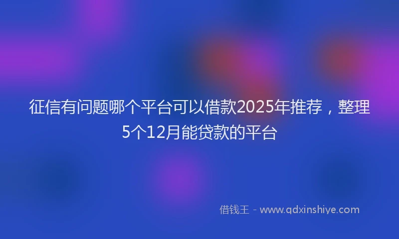 征信有问题哪个平台可以借款2025年推荐，整理5个12月能贷款的平台