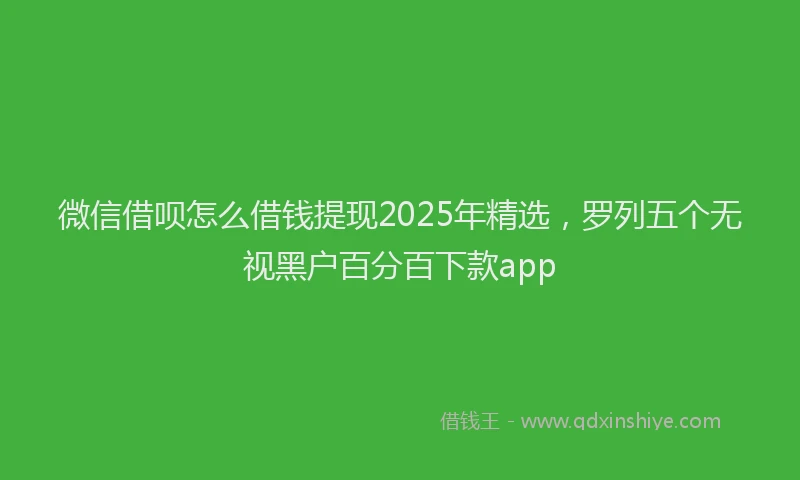 微信借呗怎么借钱提现2025年精选，罗列五个无视黑户百分百下款app