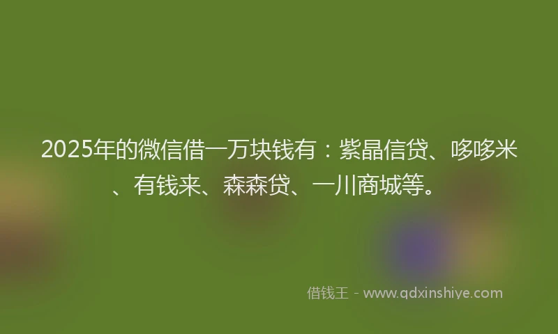 2025年的微信借一万块钱有：紫晶信贷、哆哆米、有钱来、森森贷、一川商城等。