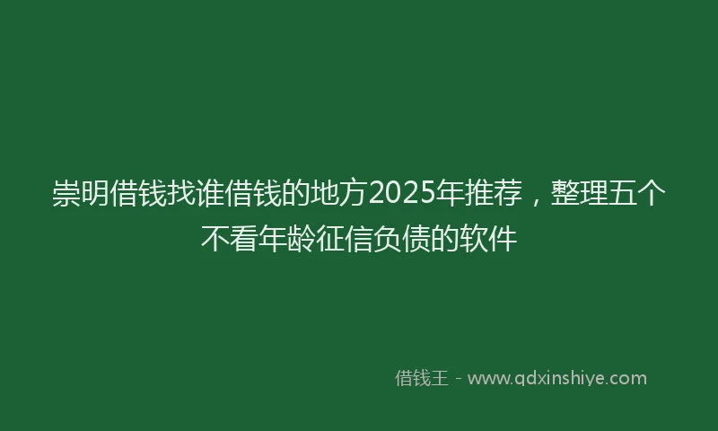 崇明借钱找谁借钱的地方2025年推荐，整理五个不看年龄征信负债的软件