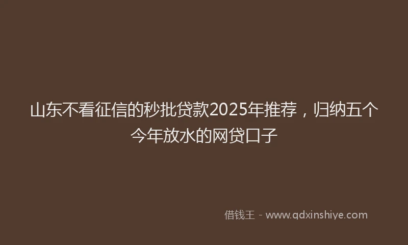 山东不看征信的秒批贷款2025年推荐，归纳五个今年放水的网贷口子