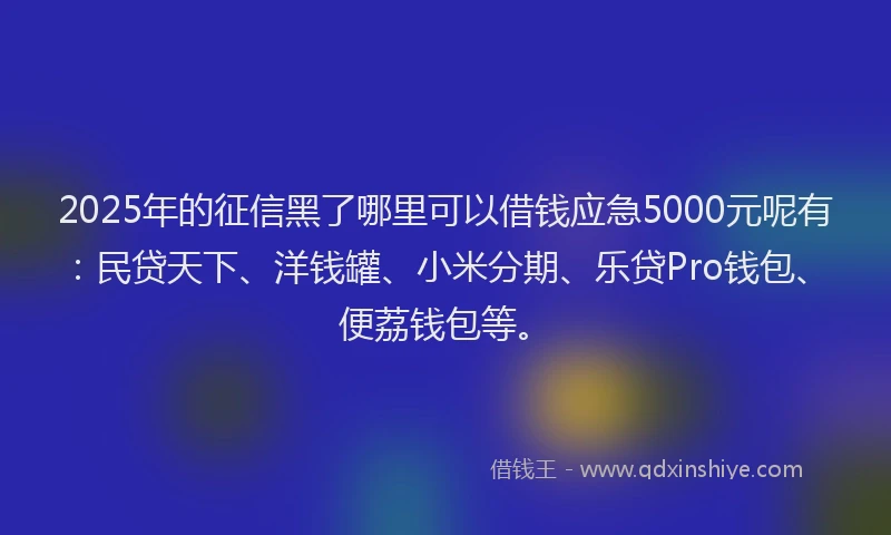 2025年的征信黑了哪里可以借钱应急5000元呢有：民贷天下、洋钱罐、小米分期、乐贷Pro钱包、便荔钱包等。