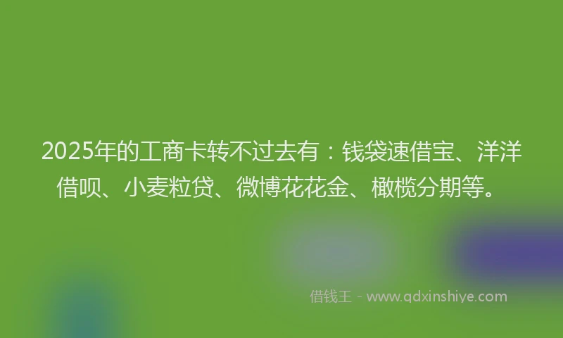 2025年的工商卡转不过去有：钱袋速借宝、洋洋借呗、小麦粒贷、微博花花金、橄榄分期等。