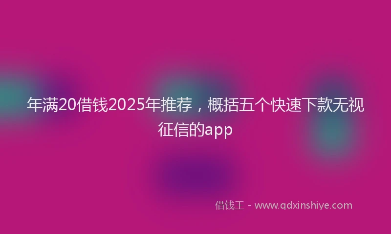 年满20借钱2025年推荐，概括五个快速下款无视征信的app