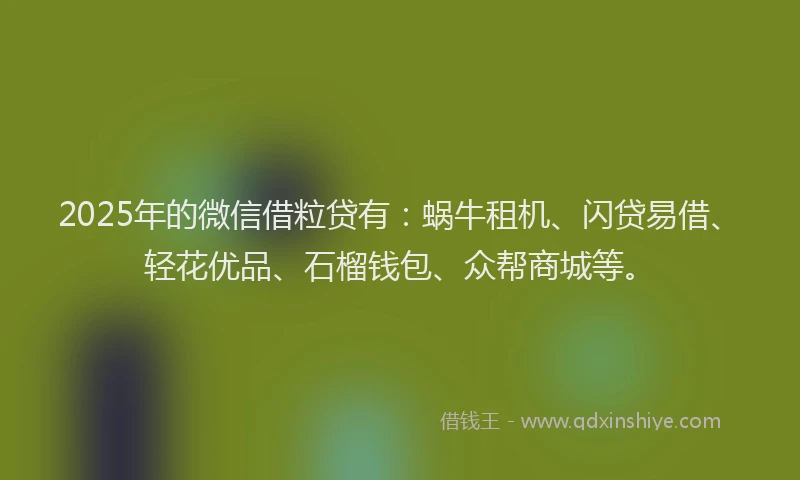 2025年的微信借粒贷有：蜗牛租机、闪贷易借、轻花优品、石榴钱包、众帮商城等。