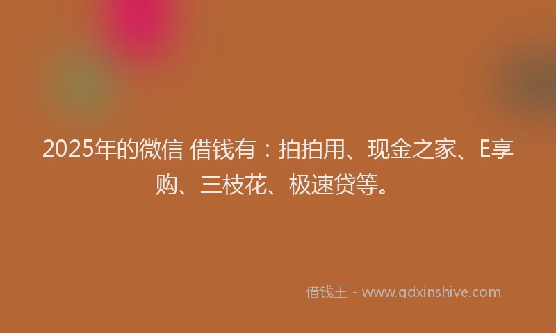 2025年的微信 借钱有：拍拍用、现金之家、E享购、三枝花、极速贷等。