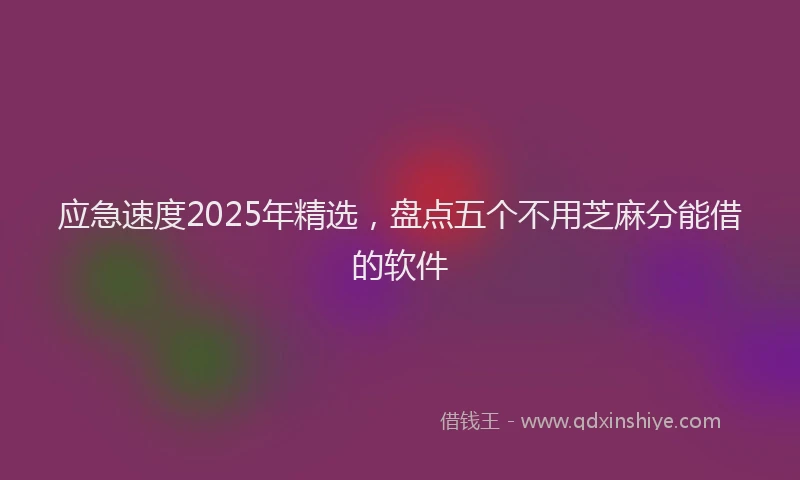 应急速度2025年精选，盘点五个不用芝麻分能借的软件