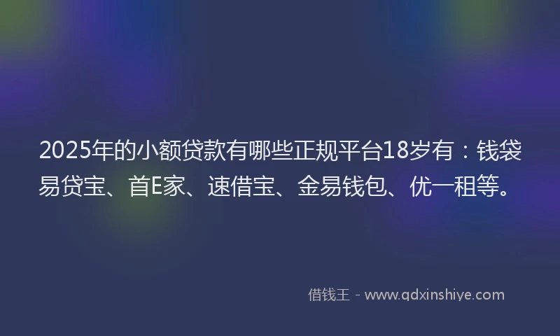 2025年的小额贷款有哪些正规平台18岁有：钱袋易贷宝、首E家、速借宝、金易钱包、优一租等。