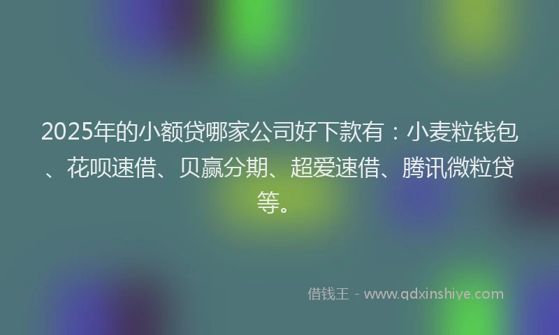 2025年的小额贷哪家公司好下款有：小麦粒钱包、花呗速借、贝赢分期、超爱速借、腾讯微粒贷等。