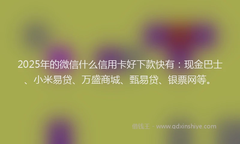 2025年的微信什么信用卡好下款快有：现金巴士、小米易贷、万盛商城、甄易贷、银票网等。