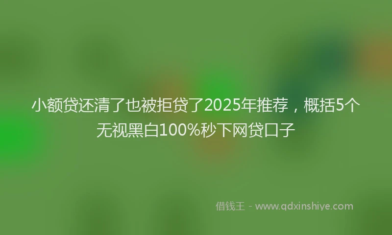 小额贷还清了也被拒贷了2025年推荐，概括5个无视黑白100%秒下网贷口子