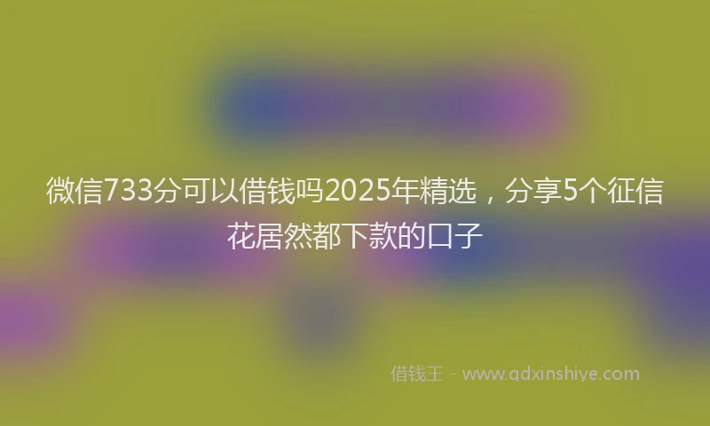 微信733分可以借钱吗2025年精选，分享5个征信花居然都下款的口子