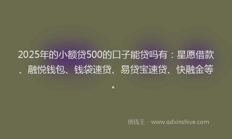 2025年的小额贷500的口子能贷吗有：星愿借款、融悦钱包、钱袋速贷、易贷宝速贷、快融金等。