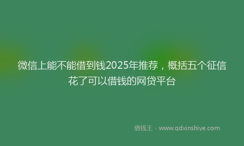 微信上能不能借到钱2025年推荐，概括五个征信花了可以借钱的网贷平台