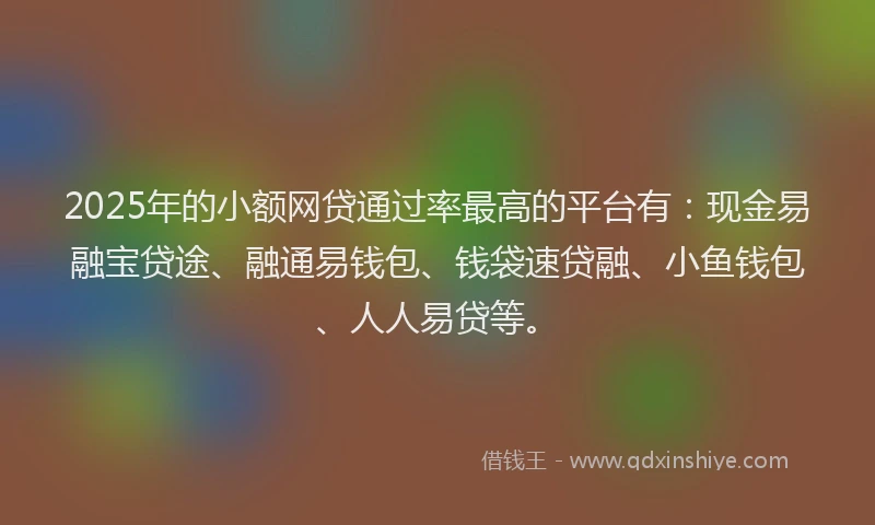 2025年的小额网贷通过率最高的平台有：现金易融宝贷途、融通易钱包、钱袋速贷融、小鱼钱包、人人易贷等。