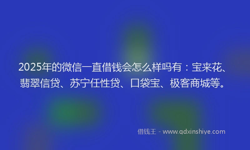 2025年的微信一直借钱会怎么样吗有：宝来花、翡翠信贷、苏宁任性贷、口袋宝、极客商城等。