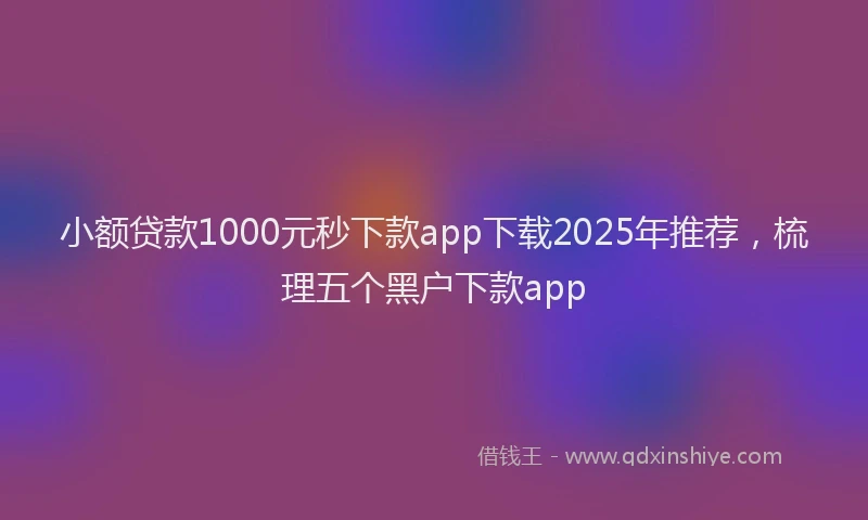 小额贷款1000元秒下款app下载2025年推荐，梳理五个黑户下款app