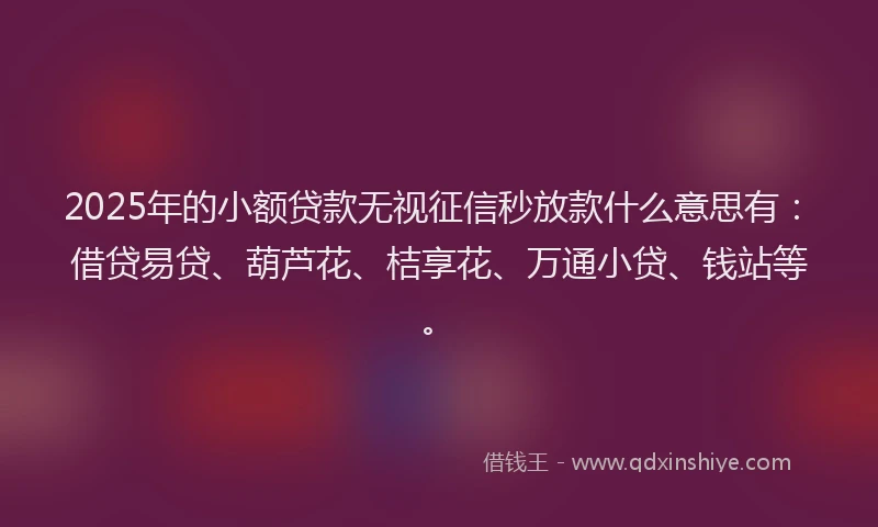 2025年的小额贷款无视征信秒放款什么意思有：借贷易贷、葫芦花、桔享花、万通小贷、钱站等。