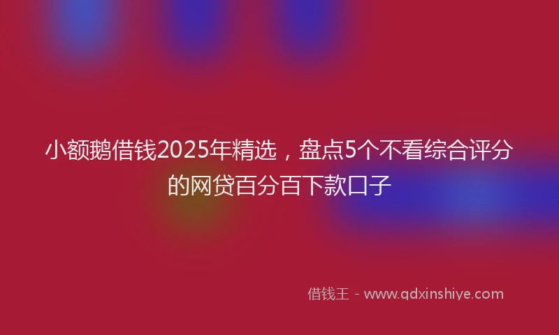 小额鹅借钱2025年精选，盘点5个不看综合评分的网贷百分百下款口子