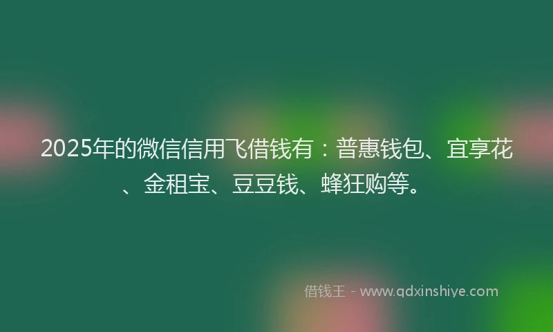 2025年的微信信用飞借钱有：普惠钱包、宜享花、金租宝、豆豆钱、蜂狂购等。
