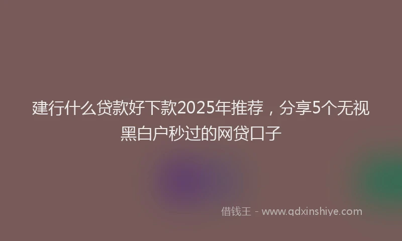建行什么贷款好下款2025年推荐，分享5个无视黑白户秒过的网贷口子